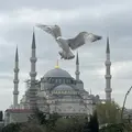 Legendary Old City Tour Of Istanbul
