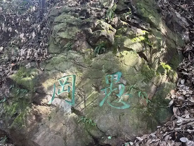 Tour image 6
