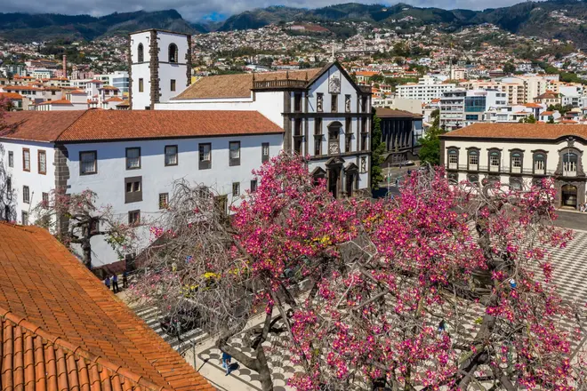 500 Anni in Due Ore: La Passeggiata Storica di Funchal