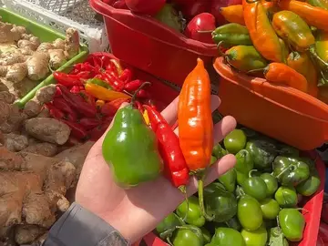 🌶️ Lima Street Food Tour by Crazy Guide 🤪