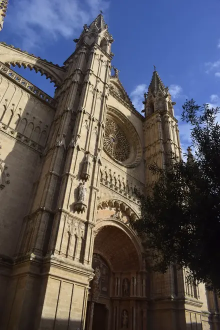 Palma entdecken: Eine Tour zu den wichtigsten Sehenswürdigkeiten der Stadt
