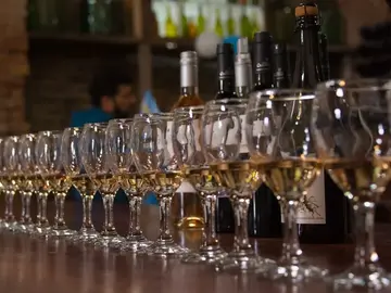 Mendoza, Land of Wines