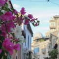 Discover Cyprus' and Limassol's history and culture with visual storytelling by a local
