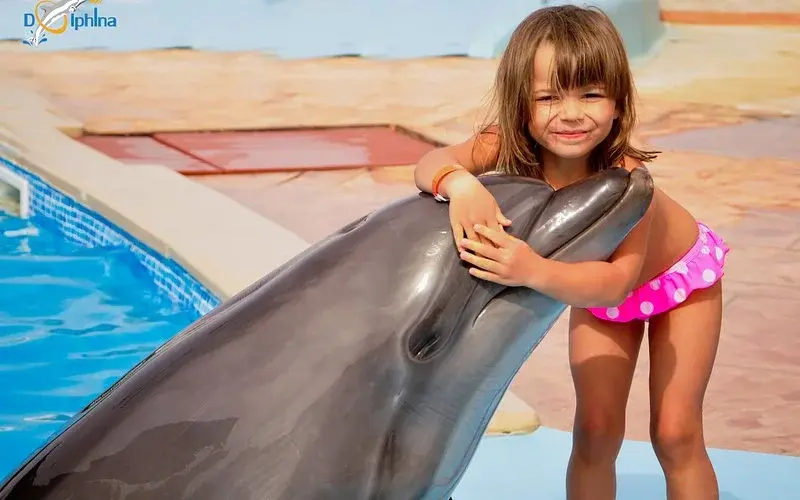 Delfinshow in Sharm El Sheikh – Spaß für die ganze Familie