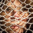 Judith