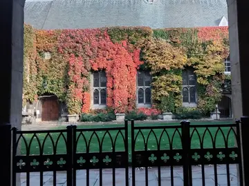 Unvergessliche Oxford-Tour durch die „Stadt“ und das „Kleid“