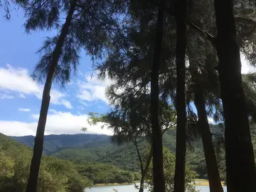 Bicitour Tomaltepec Dams, El Tule, Historic Center, Markets, Zócalo, and Tourist Walkway. ✨🚲