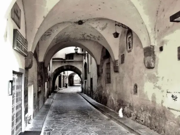 Tour image 2