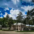 Free walking tour / Cetinje: The Royal Heart of Montenegro