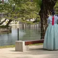 📸 Snapshots in Hanbok 🎎 Your Photoshoot at Gyeongbokgung Palace! 📸 