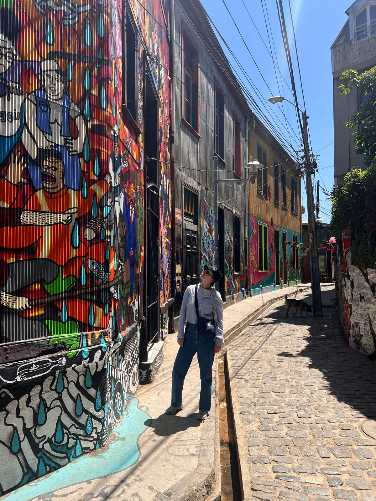 Valparaíso: ¡Inmersión cultural! ☆