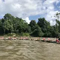Free jungle tour in the Amazon basin of Ecuador 