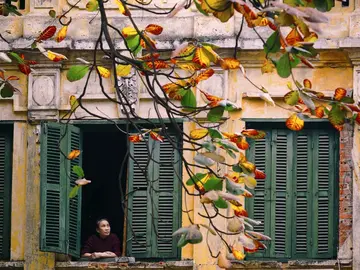 Hanoi The Old Quarter Tour - Discover Hanoi's Hidden Gems