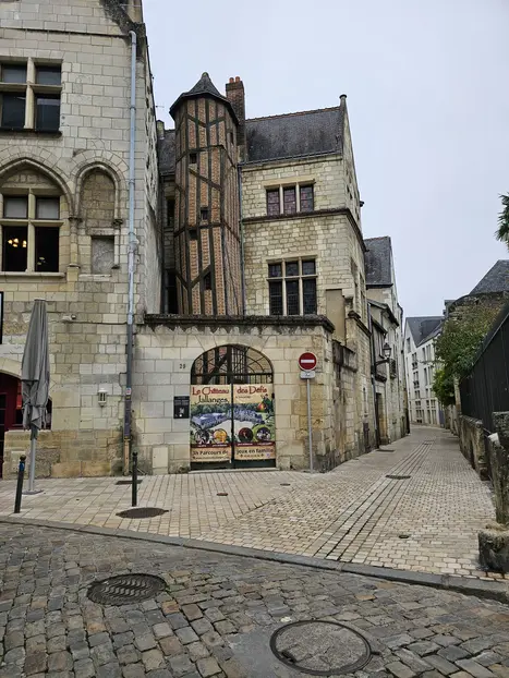 Visit the city of Tours, an essential tour before visiting the Castles of the Loire Valley (Available in Spanish)