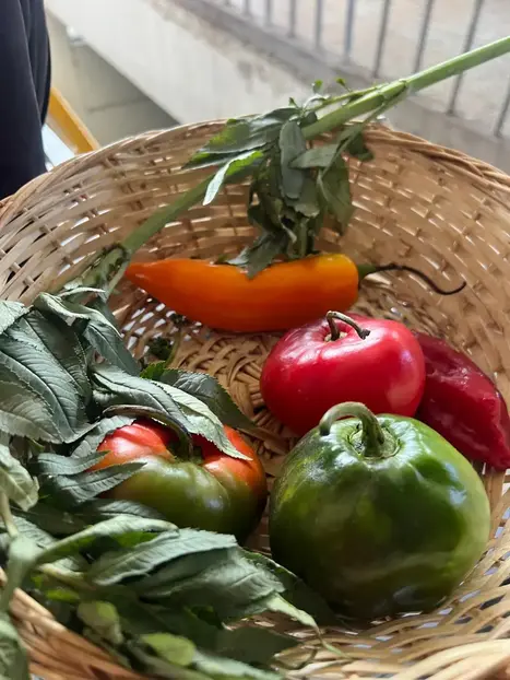 🌶️ Amazing Lima Street Food Tour & Market Experience 🎬