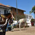 Von Dakar zu den Gorée-Abenteuern