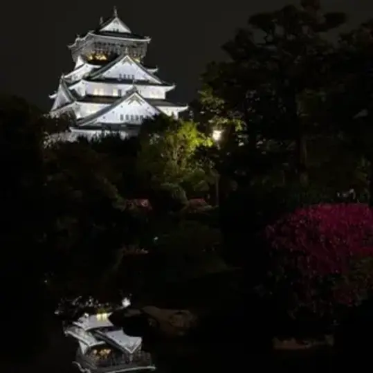 Tour image 7