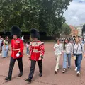 The essential and dynamic Free Tour of London 💂