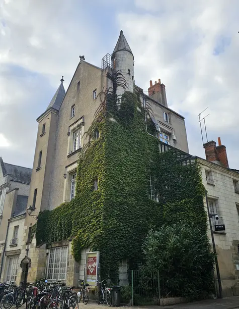 Visita la ciudad de Tours, un recorrido esencial antes de visitar los Castillos del Valle del Loira (Disponible en Español)