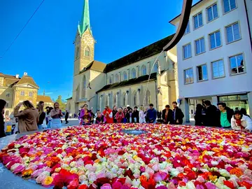 Free Walking Tour : essentiels de Zurich