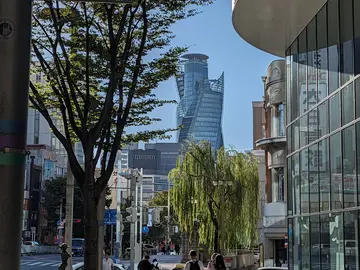 Historical and food tour near Nagoya Station