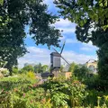Descubre Leiden: De Peregrinos a Pintores, ¡Los Rincones Ocultos de la Ciudad Clave! (Ofrecido diariamente en inglés o español)