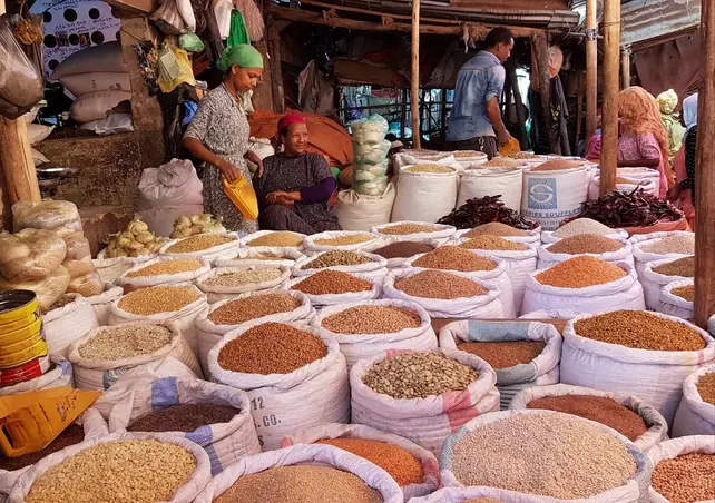 Addis Ababa Layover Tour: Coffee, Culture & Local Life