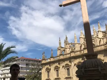 Free walking tour Siviglia Antigua in spagnolo con guida ufficiale 