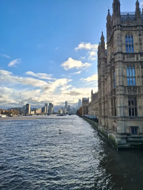 Free Tour di Westminster e Whitehall: Guerra, Memoria e Storia Britannica