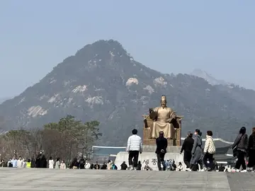 Authentic Seoul Free Tour: Stories Beyond the Guidebook