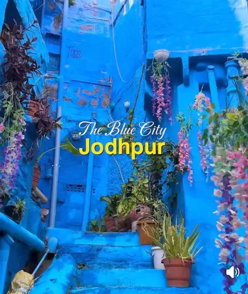 Explora la comida y el tour de la Ciudad Azul con Gourav