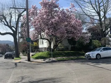 Southeast Portland: The Good Life