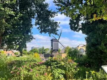 Descubre Leiden: De Peregrinos a Pintores, ¡Los Rincones Ocultos de la Ciudad Clave! (Ofrecido diariamente en inglés o español)