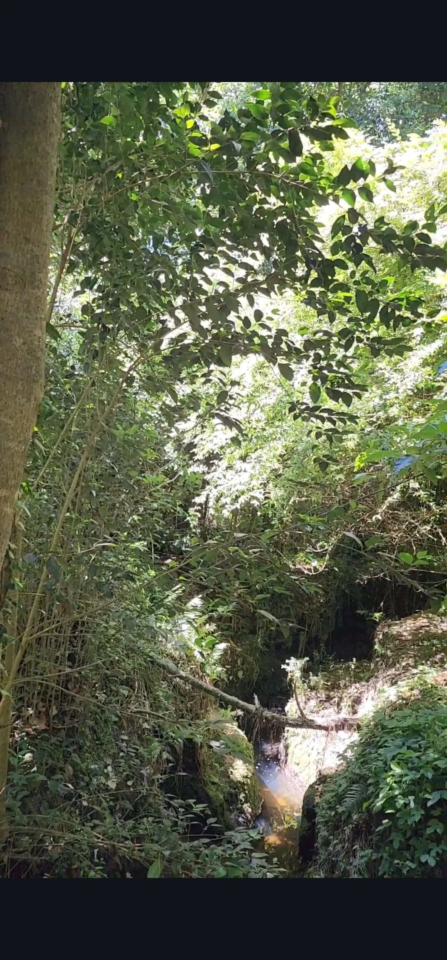 Exploring the Paseo la Aguada. Maldonado PDE