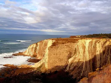 Coastal Walkers ~ Free Tour ~                                 ¡Enjoy the Coast & Stay Active!                                                     