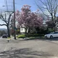 Southeast Portland: The Good Life