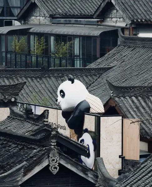 Walk through Kuanzhai Alley: Relive the turbulence of “Shaocheng”.