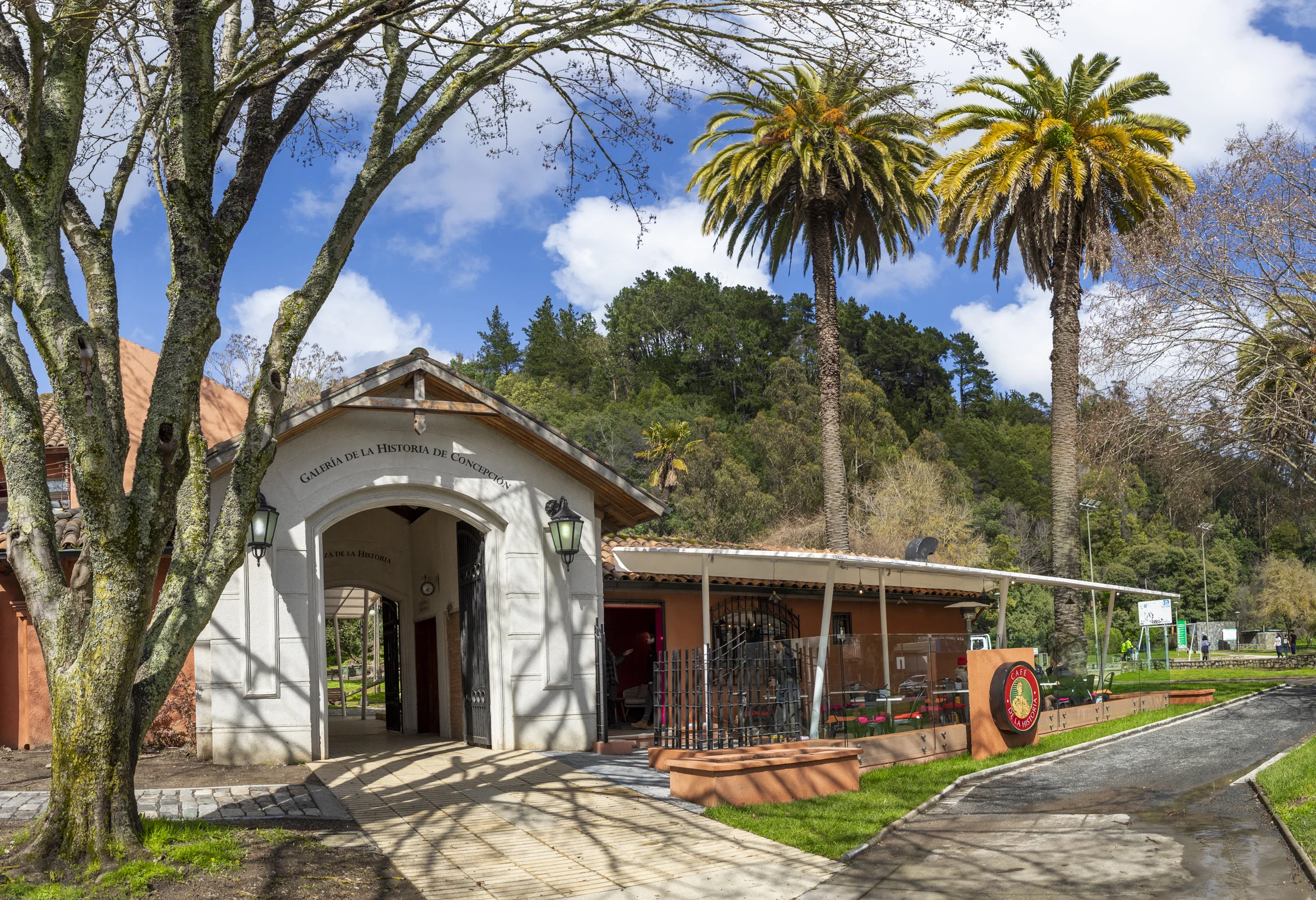 Tour Histórico-Natural por Concepción Free tour