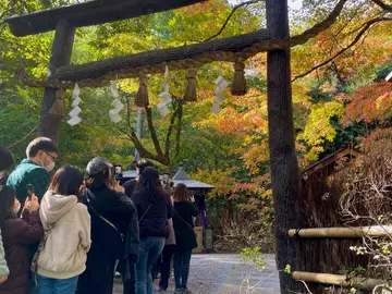Todo sobre el bosque de bambú: Arashiyama entre Templos y Santuarios con Guía Italiana