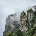 Half-Day Kodaikanal Sightseeing Tour Package