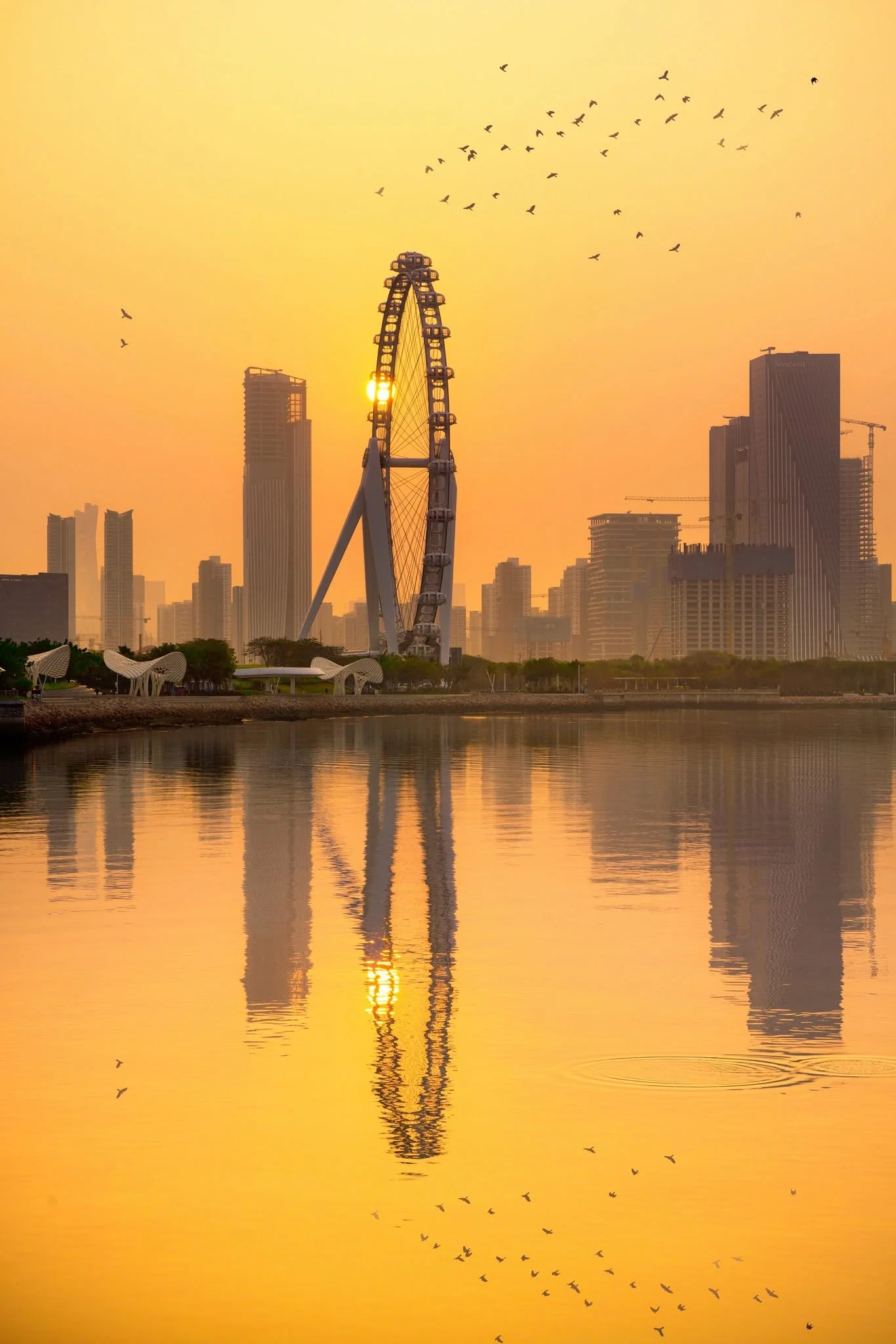 Future Shenzhen City Walk | Technology, Urban Design, Hidden Photo Spots & Bay Views