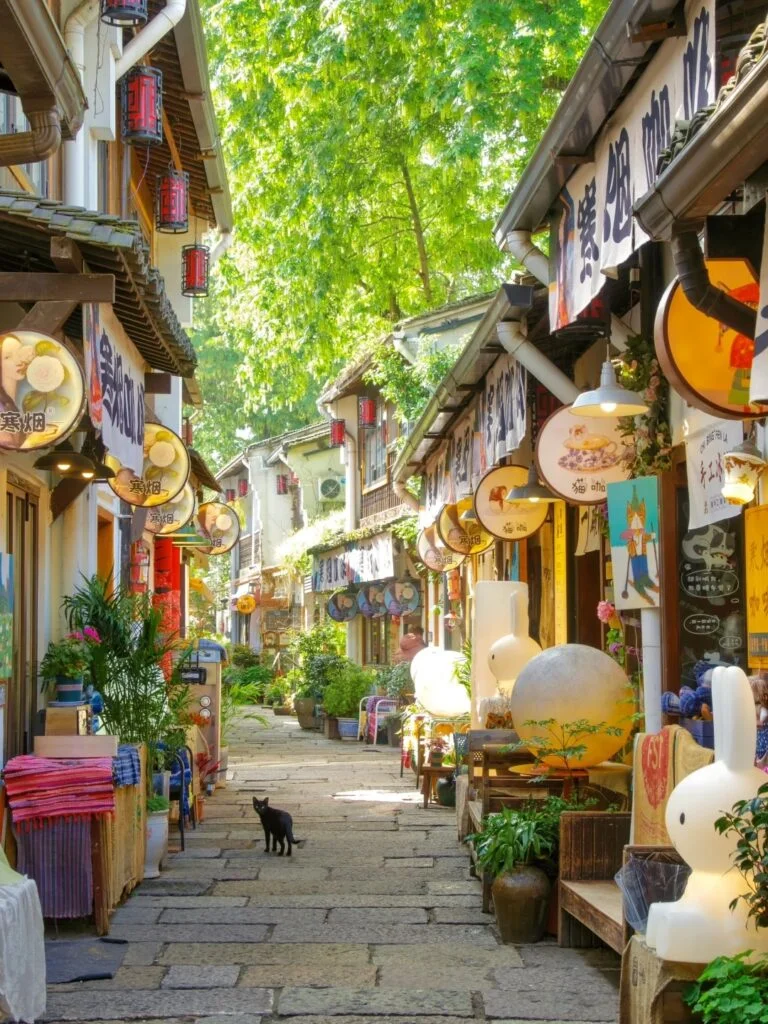Jenseits des Westsees: Hangzhous versteckte Kanalpromenade – nur positive Vibes