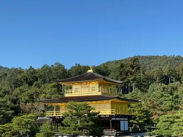 Kinkaku-ji Highlights Tour: Explore Kyoto’s Iconic Golden Pavilion