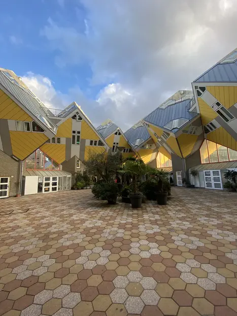 Rotterdam Revealed: City Highlights Walk with a Local