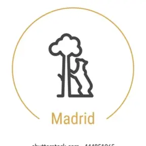 Emadrid Tours