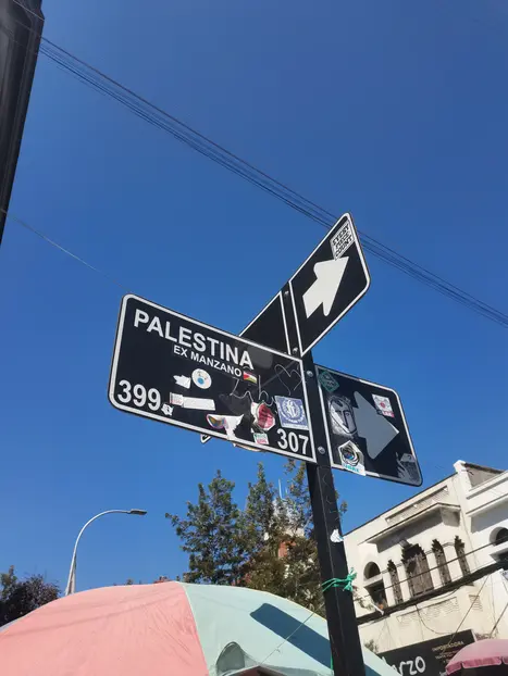 Chilestina! 🇵🇸🇨🇱✨ Historia de la colonia Árabe de Chile✨