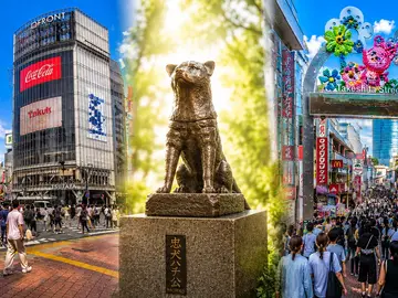 Mattinieri nel sacro: passeggiata mattutina al Santuario Meiji