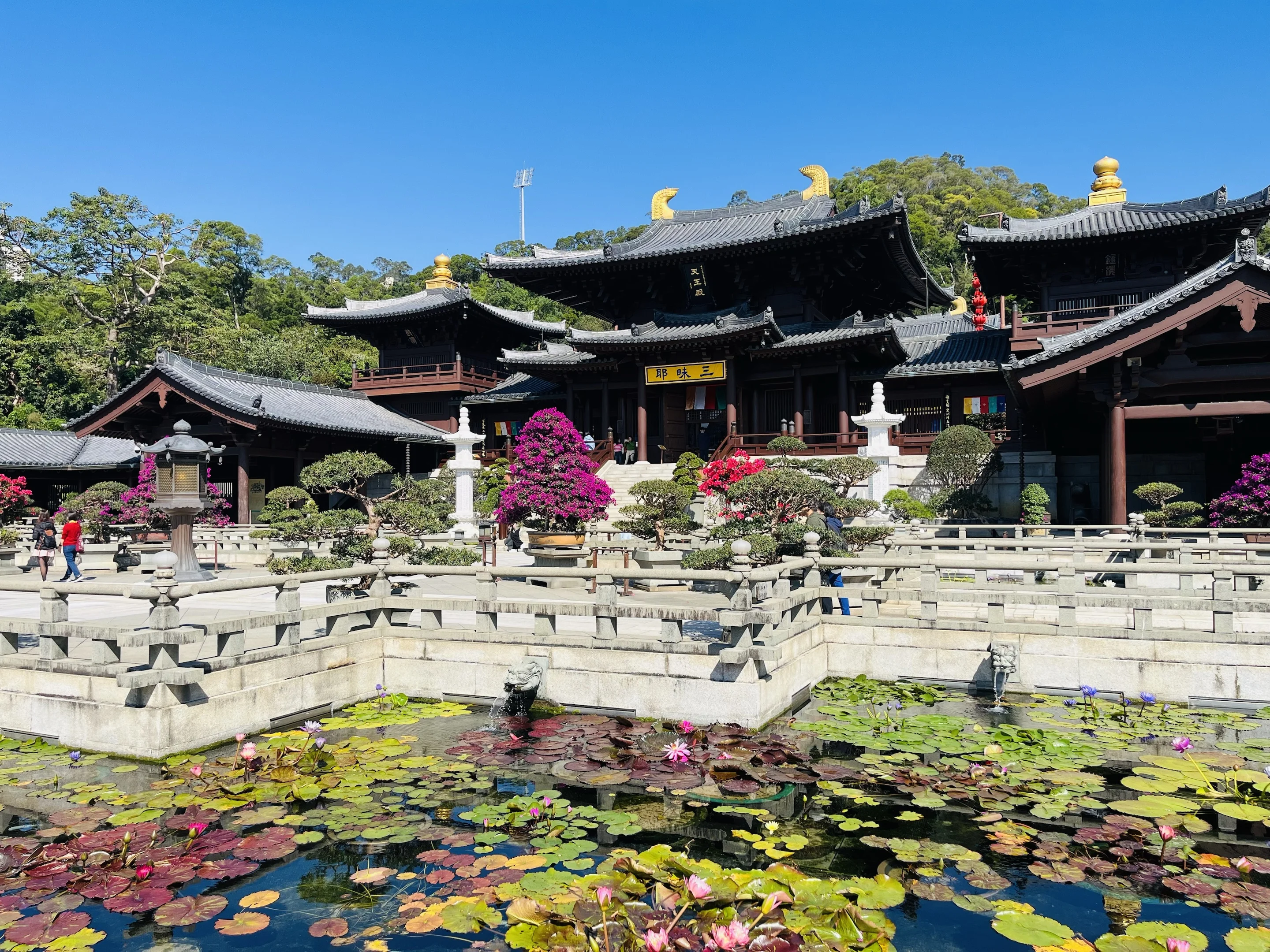 El Viaje en el Tiempo de Hong Kong: De Templos Míticos a Pistas Elevadas 🏯✈️