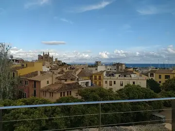 Free Tour in the heart of the historic center of Palma