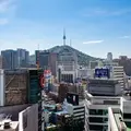 Korea Insight Walk: Hidden Views & Meaningful Dialogue